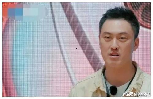 娱乐圈吃瓜爆料人有哪些,揭秘幕后真相与八卦风云